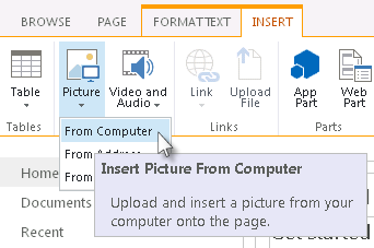 Insert a picture from the computer option