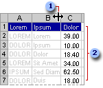 Lista con formato para la visualización en pantalla